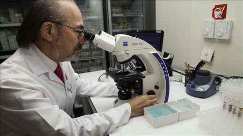 Kemik İliği Kanserinde 